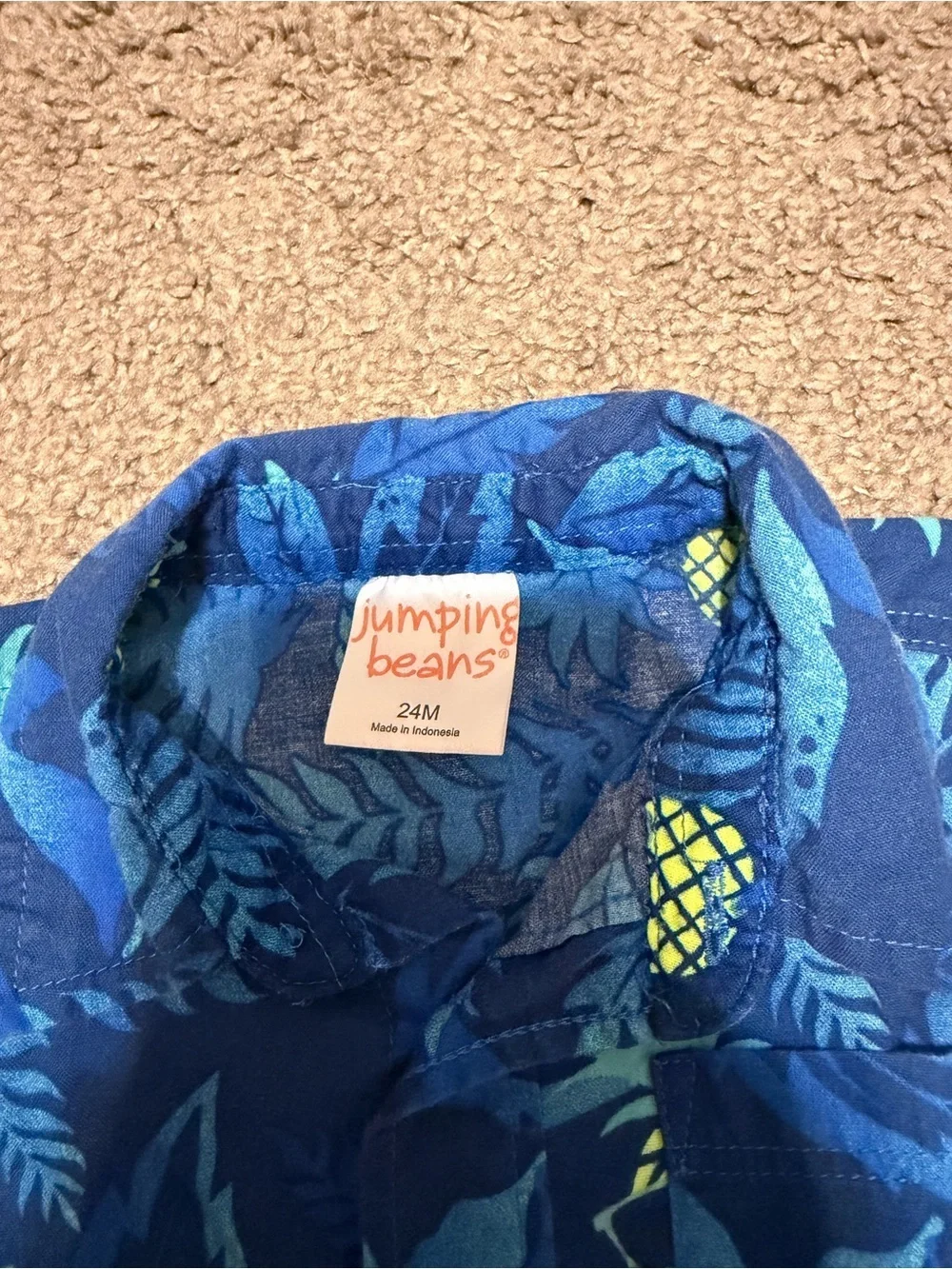 jumping beans Blue Pineapple Button-Up Shirt